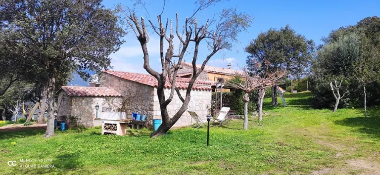 Maison en pierre entourée d’un jardin verdoyant sous le soleil de Corse.