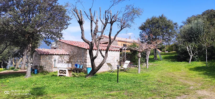 Maison en pierre entourée d’un jardin verdoyant sous le soleil de Corse.