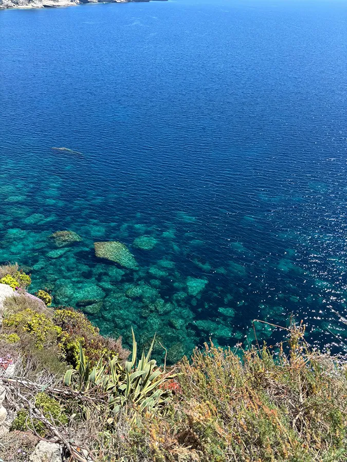 Fonds marins translucides et eaux cristallines en Corse du Sud, avec végétation côtière, idéal pour snorkeling et plongée.