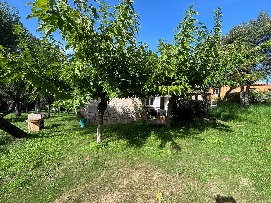 Jardin luxuriant de la villa Caseddu Jardin et Mer, avec fleurs et arbres méditerranéens pour un séjour zen en Corse du Sud.