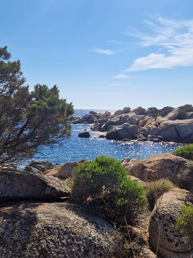 Paysage côtier rocheux en Corse du Sud avec maquis et mer scintillante, parfait pour des vacances au calme.