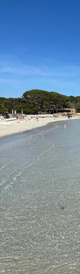 Plage de Santa Giulia en Corse du Sud, célèbre pour son lagon turquoise et ses pins parasols, lieu de vacances idéal. Location de villa Caseddu Jardin et Mer à proximité.